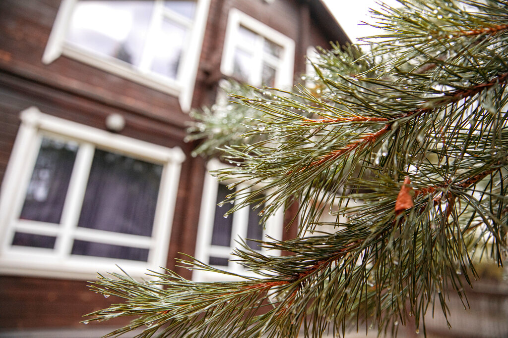 Проститутка GQ Проститутка GQ